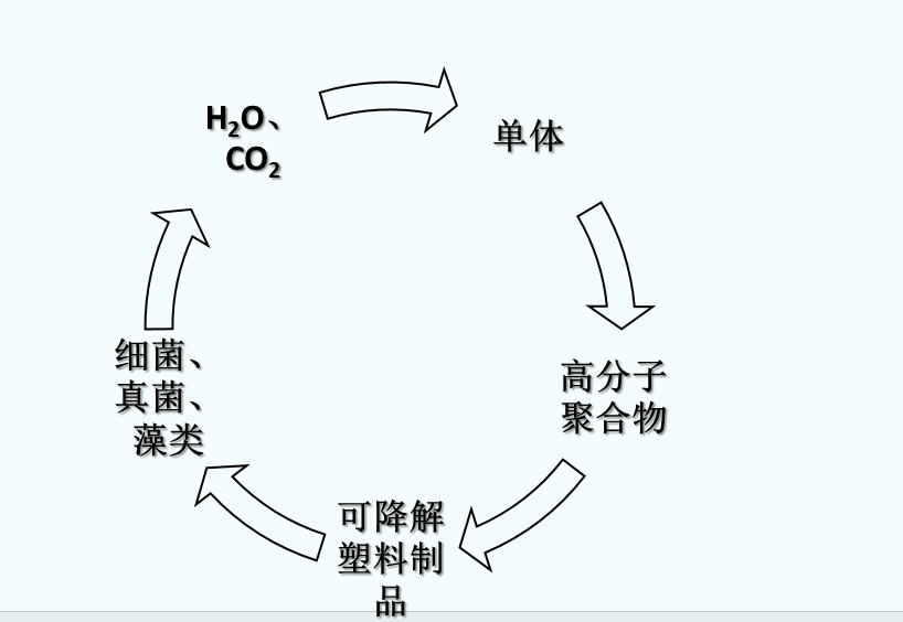什么是可生物降解塑料？(圖1)